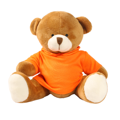 Picture of 20CM RICHARD BEAR with Printed Orange Hoody