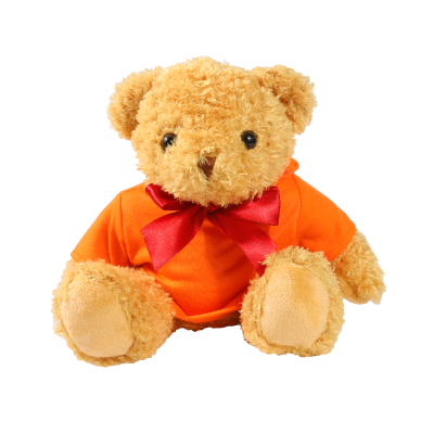 Picture of 18CM WILLIAM BEAR with Orange Hoody