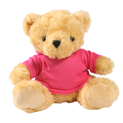 Picture of 19CM VICTORIA BEAR with Printed Pink Hoody