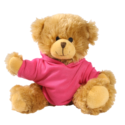 Picture of 20CM CHARLES JOINTED BEAR with Printed Pink Hoody