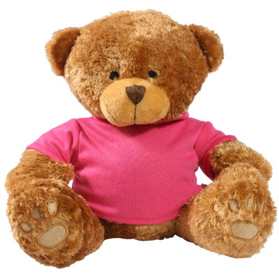Picture of BROWN 22CM EDWARD BEAR with Printed Pink Hoody