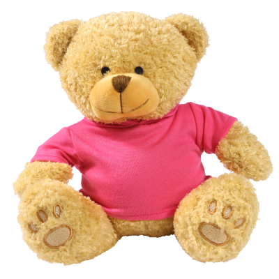 Picture of GOLDEN 22CM EDWARD BEAR with Printed Pink Hoody