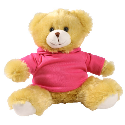 Picture of 20CM ELIZABETH BEAR with Printed Pink Hoody