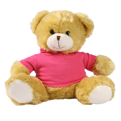 Picture of 25CM ELIZABETH BEAR with Printed Pink Hoody