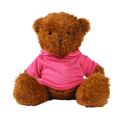 Picture of BROWN 18CM JAMES BEAR with Printed Pink Hoody