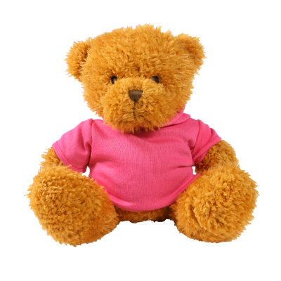 Picture of GOLDEN 18CM JAMES BEAR with Printed Pink Hoody