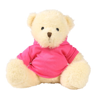 Picture of WHITE 18CM JAMES BEAR with Printed Pink Hoody