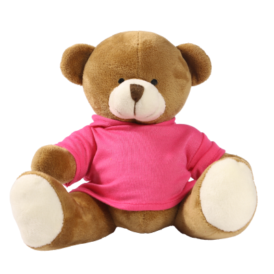 Picture of 20CM RICHARD BEAR with Printed Pink Hoody