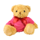 18CM WILLIAM BEAR with Pink Hoody image 2
