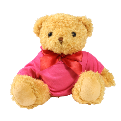 Picture of 18CM WILLIAM BEAR with Pink Hoody