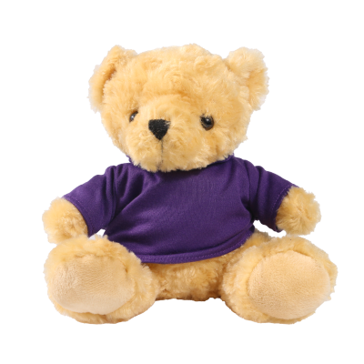 Picture of 19CM VICTORIA BEAR with Printed Purple Hoody