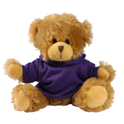 Picture of 20CM CHARLES JOINTED BEAR with Printed Purple Hoody
