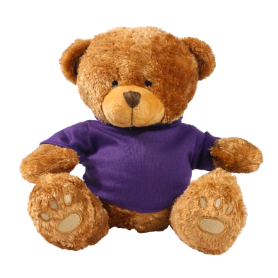 Picture of BROWN 22CM EDWARD BEAR with Printed Purple Hoody