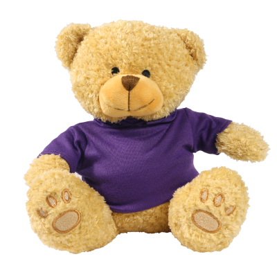 Picture of GOLDEN 22CM EDWARD BEAR with Printed Purple Hoody