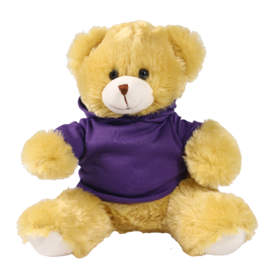 Picture of 20CM ELIZABETH BEAR with Printed Purple Hoody