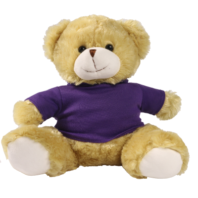 Picture of 25CM ELIZABETH BEAR with Printed Purple Hoody