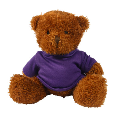 Picture of BROWN 18CM JAMES BEAR with Printed Purple Hoody
