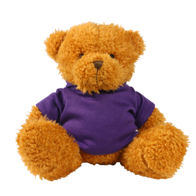 Picture of GOLDEN 18CM JAMES BEAR with Printed Purple Hoody
