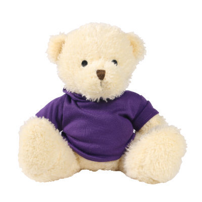 Picture of WHITE 18CM JAMES BEAR with Printed Purple Hoody