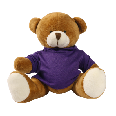 Picture of 20CM RICHARD BEAR with Printed Purple Hoody