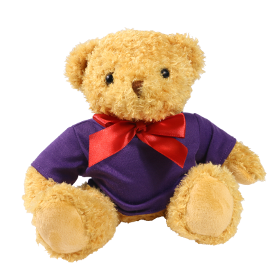 Picture of 18CM WILLIAM BEAR with Purple Hoody