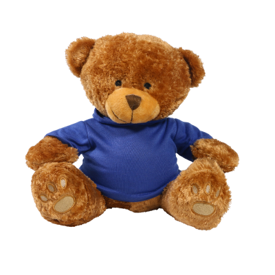 Picture of BROWN 22CM EDWARD BEAR with Printed Royal Blue Hoody
