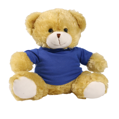 Picture of 25CM ELIZABETH BEAR with Printed Royal Blue Hoody