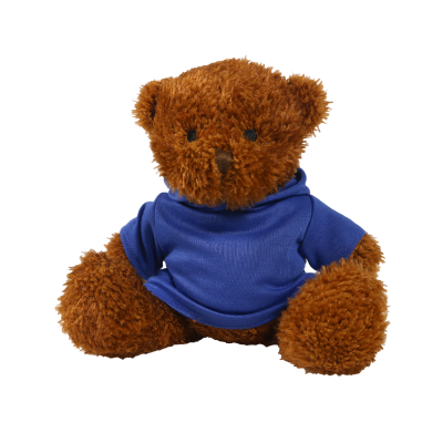 Picture of BROWN 18CM JAMES BEAR with Printed Royal Blue Hoody