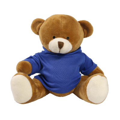 Picture of 20CM RICHARD BEAR with Printed Royal Blue Hoody