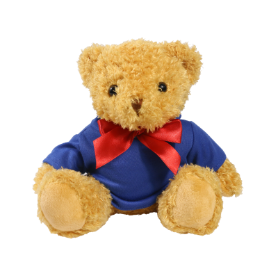 Picture of 18CM WILLIAM BEAR with Royal Blue Hoody