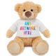 Picture of PRINTED 17CM HARRY BEAR