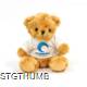 Picture of PRINTED SOFT TOY 16CM VICTORIA TEDDY BEAR