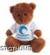 Picture of PRINTED JAMES I TEDDY BEAR