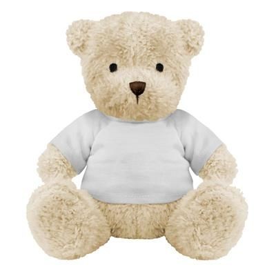 teddy bear with blank t shirt