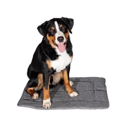 Picture of DOG TRAVEL PICNIC BLANKET TRAVEL.