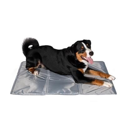 Picture of DOG COOLING MAT FOR ANIMALS CHILL