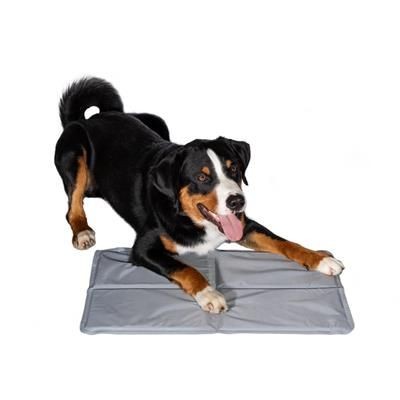 Picture of DOG COOLING MAT FOR ANIMALS CHILL