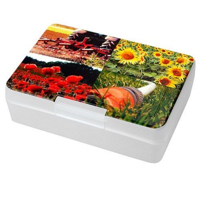 Picture of IMOULD BRANDED PLASTIC STORAGE LUNCH BOX