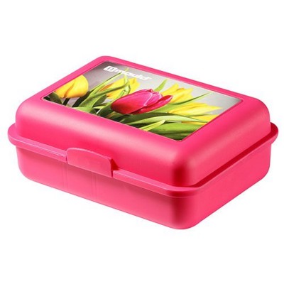 Picture of IMOULD BRANDED PLASTIC SCHOOL LUNCH STORAGE BOX with Divider