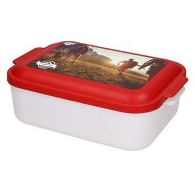 Picture of STORAGE BOX UNIVERSAL BOX LARGE