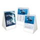 Picture of BLUE PLANET MINI DESK CALENDAR