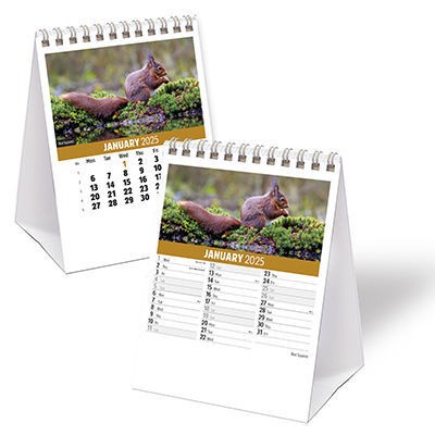 Picture of WILDLIFE MINI DESK CALENDAR