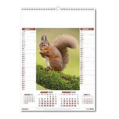 Picture of BRITISH WILDLIFE WALL CALENDAR.