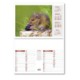Picture of BRITISH WILDLIFE CENTRAL SPIRAL WALL CALENDAR