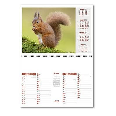 Picture of BRITISH WILDLIFE CENTRAL SPIRAL WALL CALENDAR.