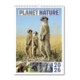 Picture of PLANET NATURE MEMO WALL CALENDAR