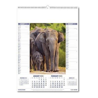 Picture of PLANET NATURE WALL CALENDAR