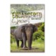 Picture of ENDANGERED SPECIES WALL CALENDAR
