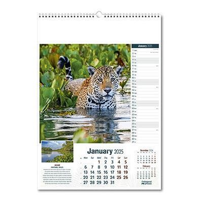 Picture of ENDANGERED SPECIES WALL CALENDAR