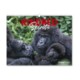 Picture of KINDRED SPIRITS WALL CALENDAR